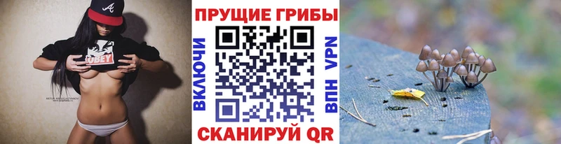 сайты даркнета официальный сайт  где продают наркотики  Константиновск  Галлюциногенные грибы Psilocybe 