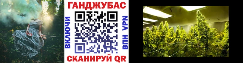 где можно купить   darknet как зайти  Бошки Шишки THC 21%  Константиновск 